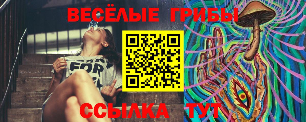 Псилоцибиновые грибы ЛСД  Галлюциногенные грибы Magic Shrooms  купить   Заволжье  Вход с VPN 